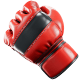 MMA Fight icon