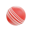 Cricket Exchange icon